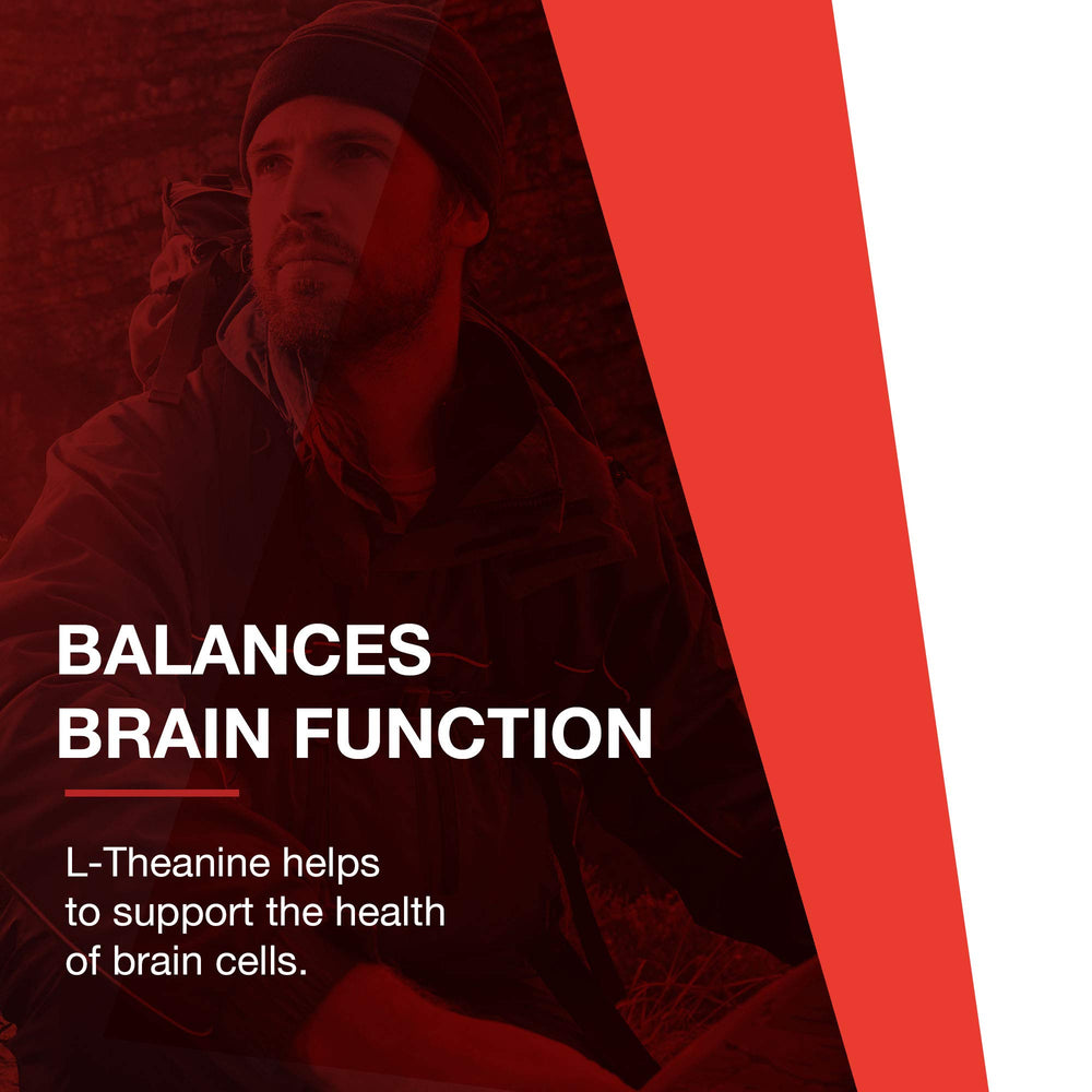 Relaxed-focus scene with Protocol for Life Balance L-Theanine.