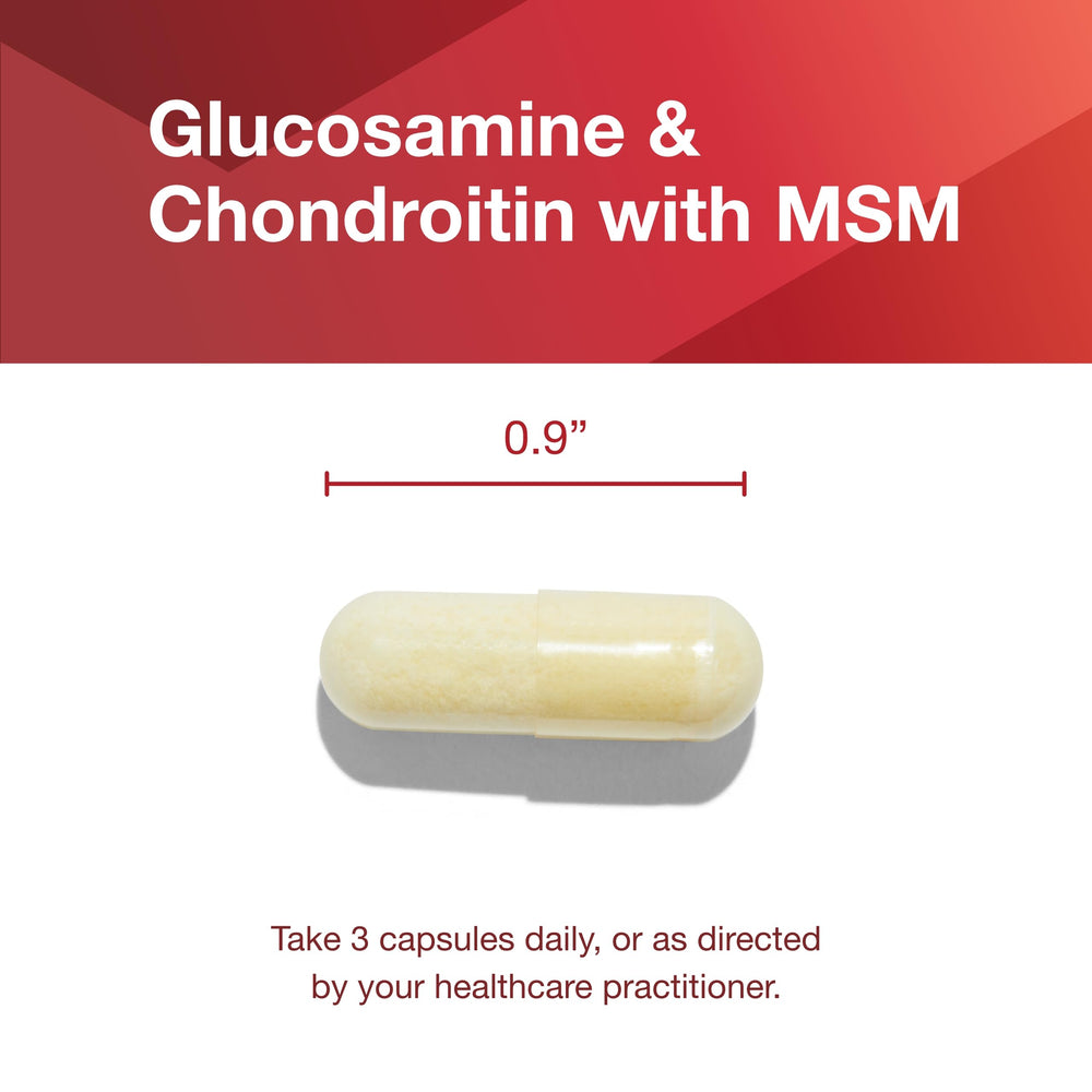 PROTOCOL FOR LIFE BALANCE glucosamine chondroitin MSM packaging back view
