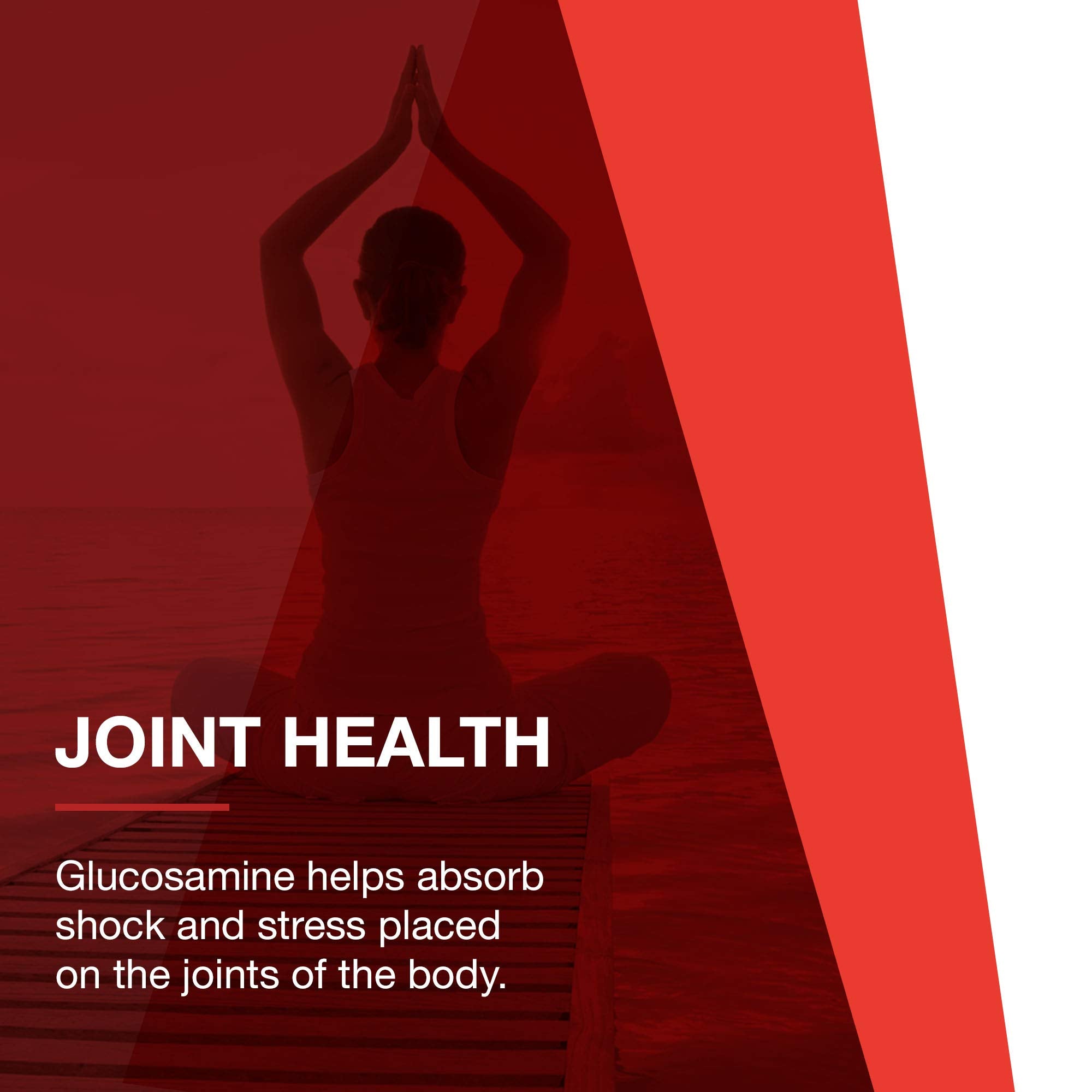 PROTOCOL FOR LIFE BALANCE glucosamine chondroitin MSM practitioner note image