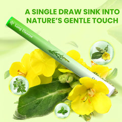 PUFFIAIR Mullein Thyme Mint Diffuser packaging showcases natural ingredients for a clean air experience.