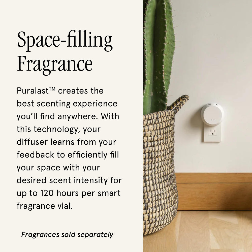 Pura 4 diffuser in living room illustrates even diffusion across space