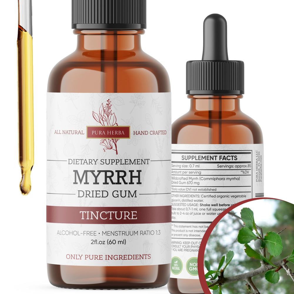 Pura Herba Myrrh liquid extract bottle for daily tincture use supporting oral care.