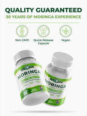 Pura Vida Moringa harvest in volcanic soil signals mineral richness.