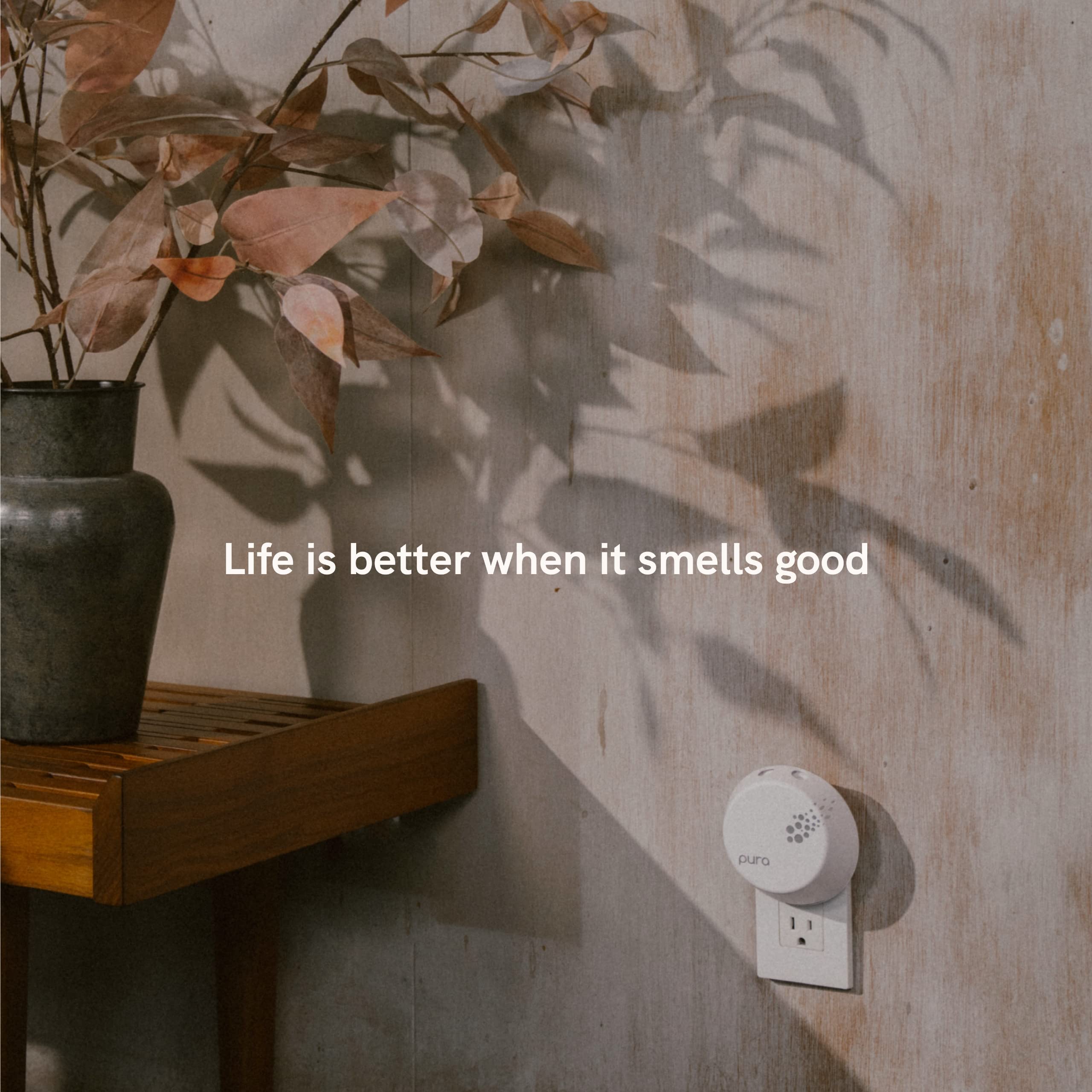 Pura White Tea notes of bergamot and jasmine create a fresh atmosphere.
