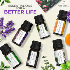 Pure Aroma Eucalyptus 10ml bottle ideal for refreshing diffuser blends.
