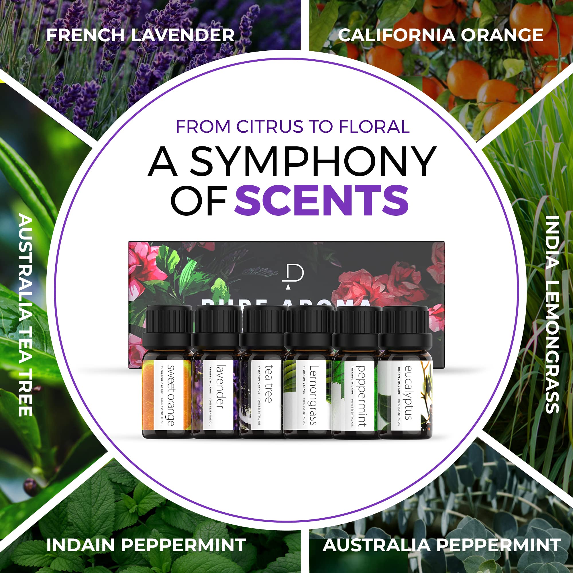 Pure Aroma Sweet Orange 10ml bottle for sunny, comforting aroma blends.