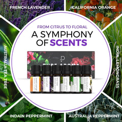 Pure Aroma Sweet Orange 10ml bottle for sunny, comforting aroma blends.