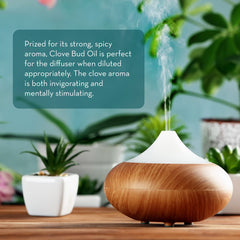 Pure Body Naturals lab-tested clove oil confirms undiluted purity.