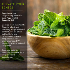 Pure Body Naturals peppermint oil diffuser scene highlighting aroma for focus.