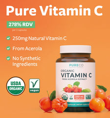 Pure Co acerola cherry powder close-up highlighting natural antioxidants.