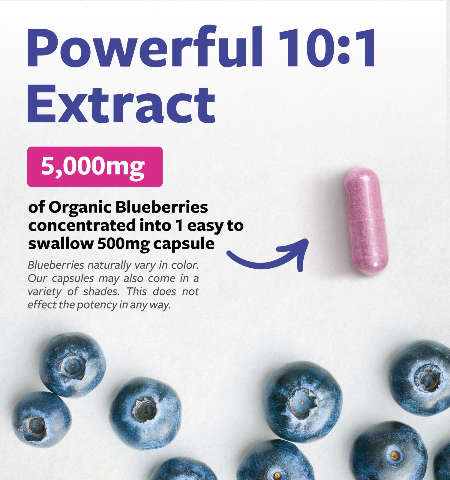 Pure Co blueberry extract capsules held in hand for on-the-go daily support.