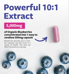 Pure Co blueberry extract capsules held in hand for on-the-go daily support.