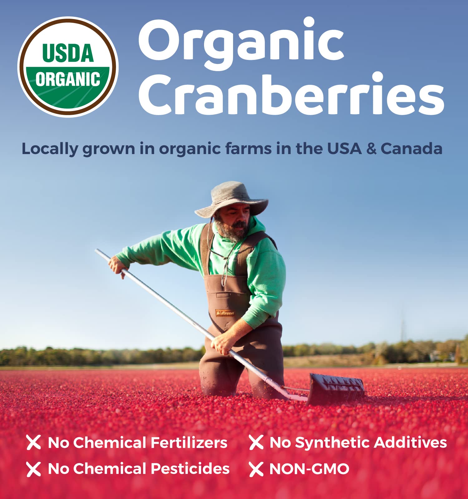 Pure Co Cranberry Pills label shows certified organic cranberry concentrate