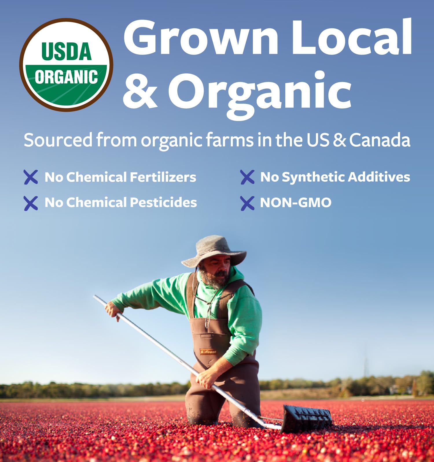 PURE CO cranberry powder beside fresh cranberries showing natural origin