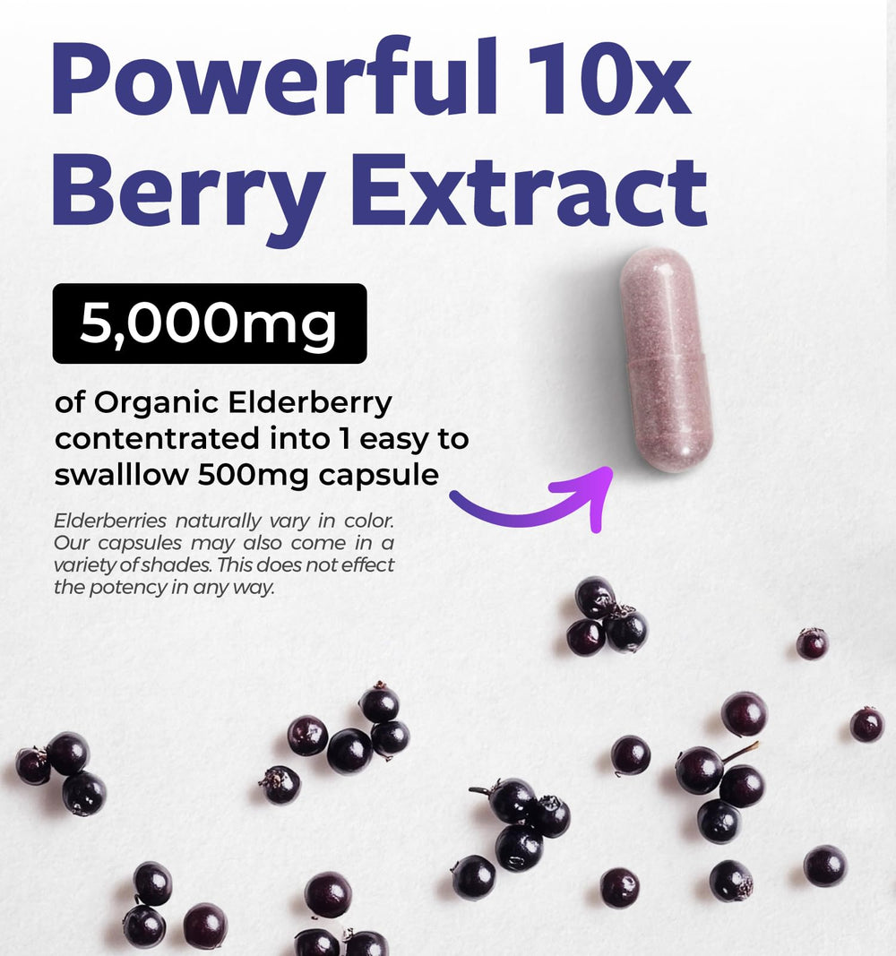 PURE CO Elderberry Capsule label shows organic 10:1 extract