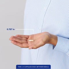 Pure Encapsulations acetyl-L-carnitine 250 mg capsules on neutral background for daily cognitive use.
