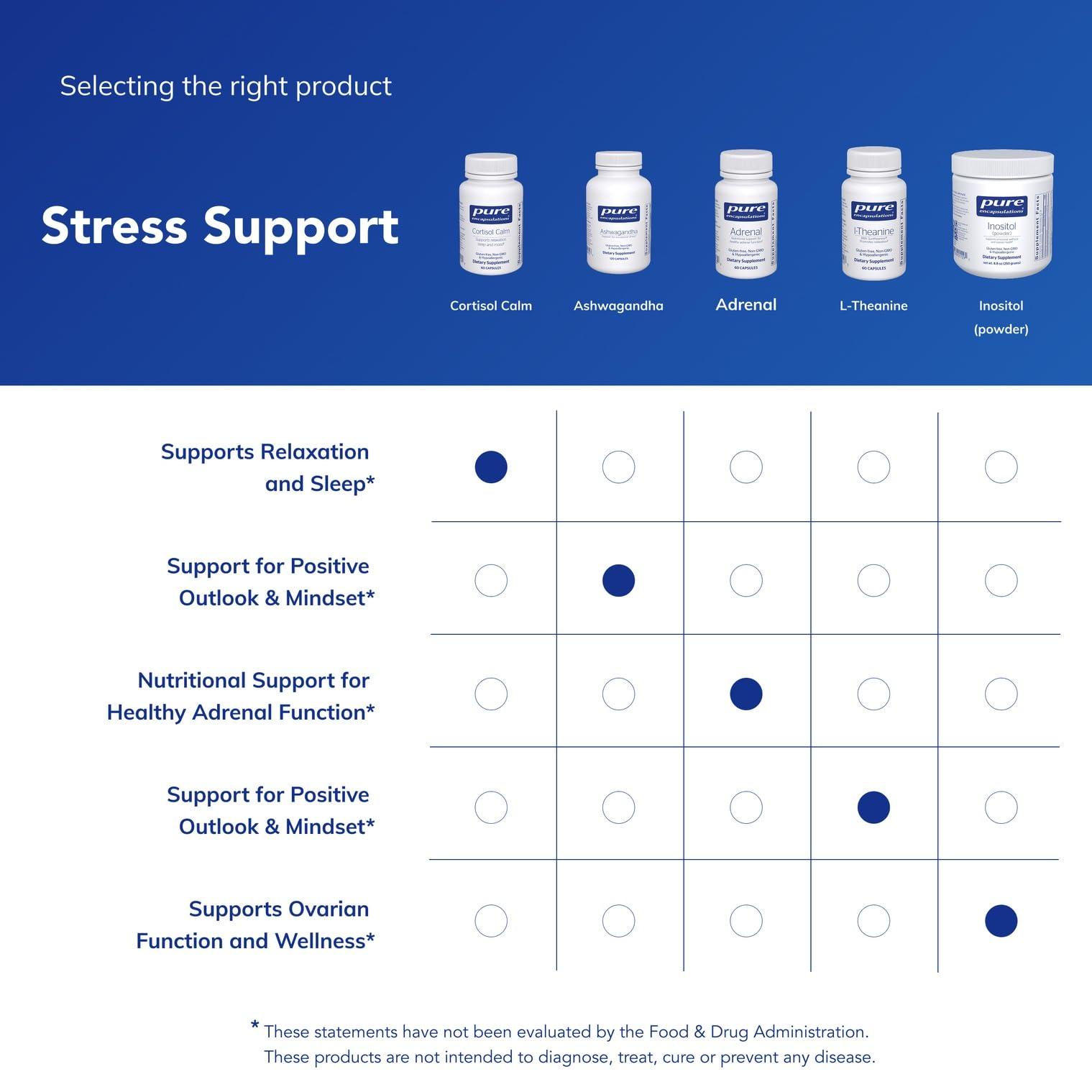 L-Theanine presence for relaxation support in Cortisol Calm formula.