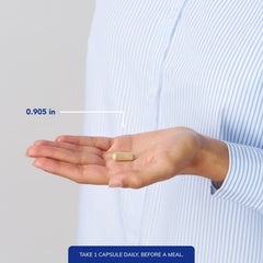 Aloe vera extract present in the DGL Plus formula