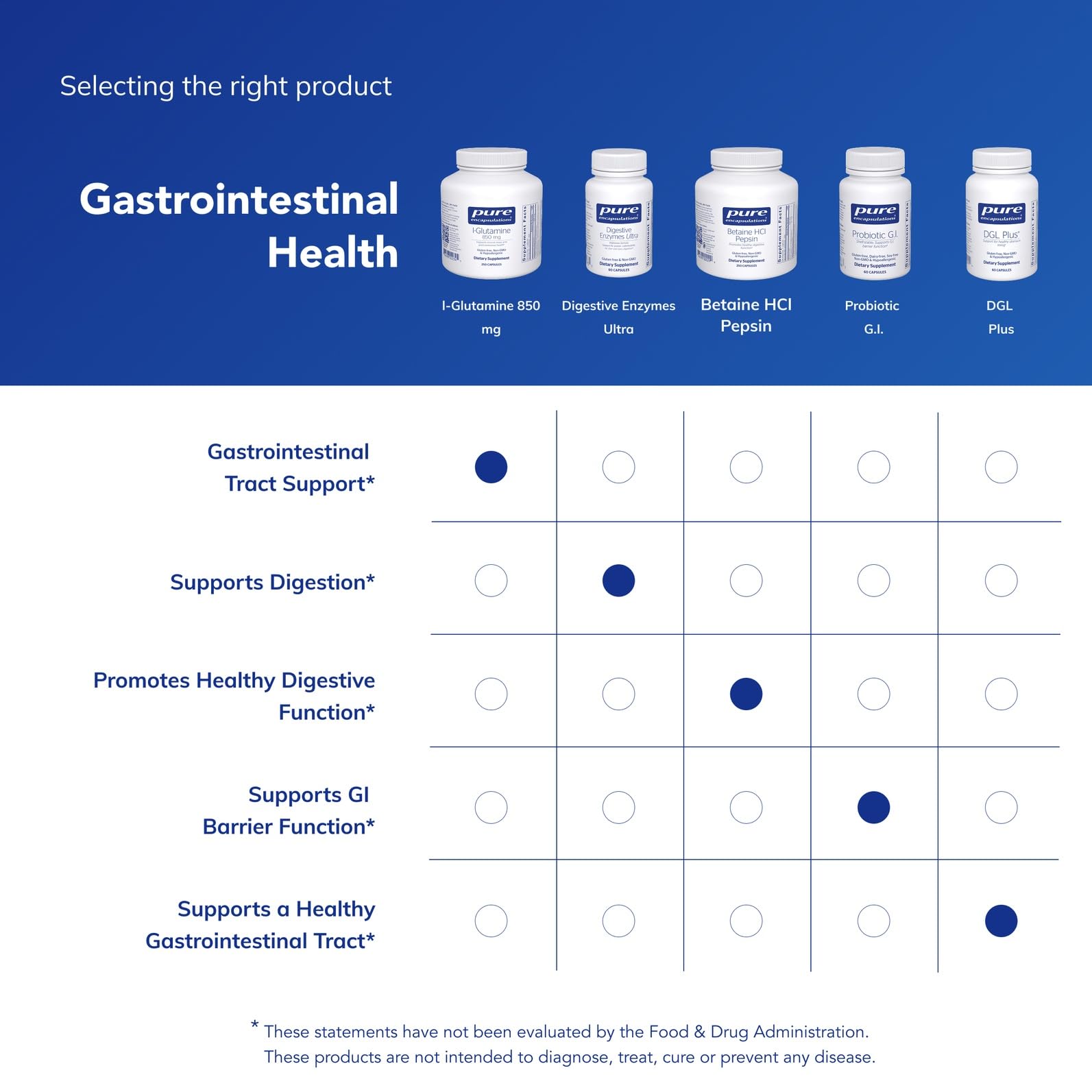 L-Glutamine bottle beside dumbbells signaling lean muscle support potential.