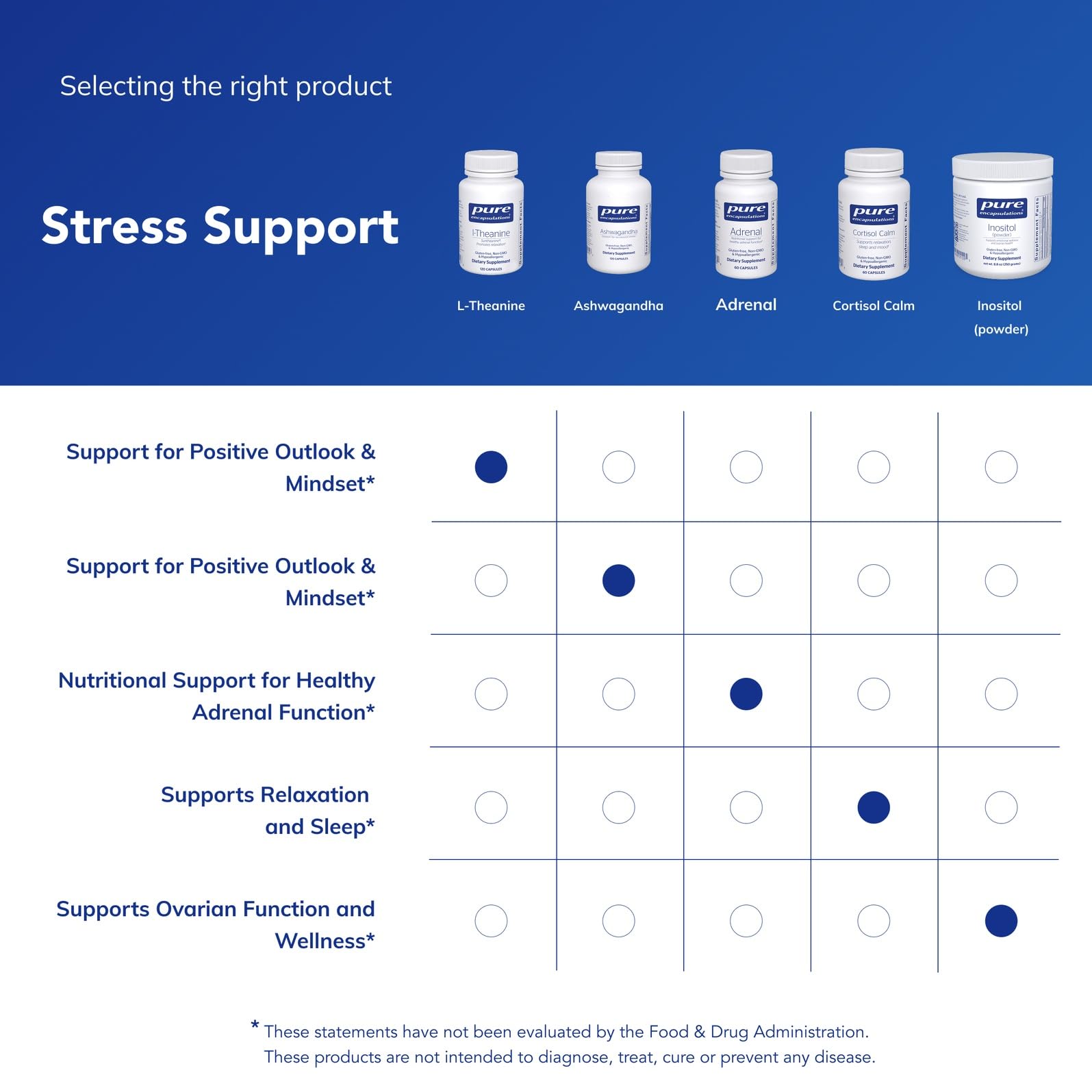 Pure Encapsulations L-Theanine capsules arranged for easy daily use and relaxation