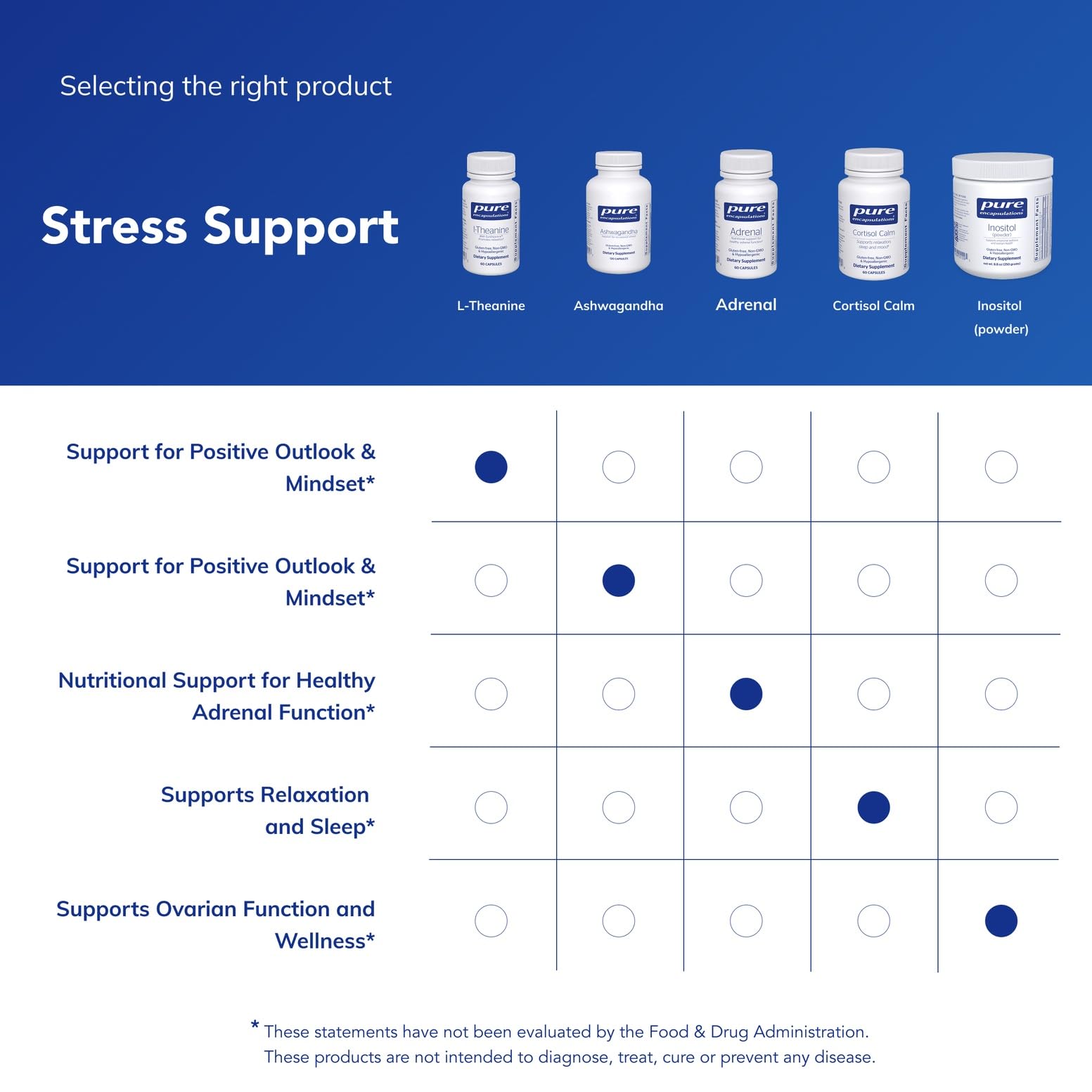 Pure Encapsulations L-Theanine ingredients panel emphasizing pure formulation