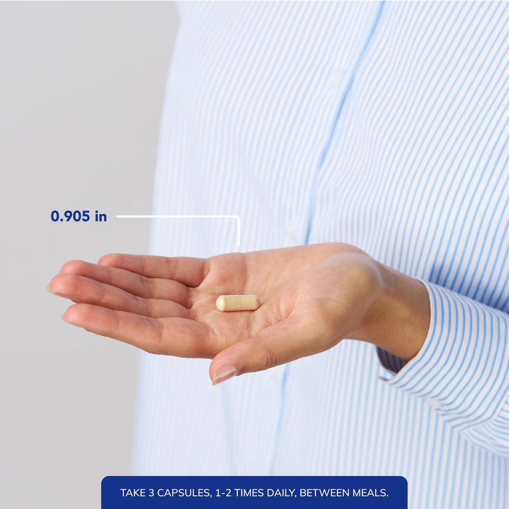 MotilPro ingredients include 5-HTP and ginger for serotonin balance and GI comfort.