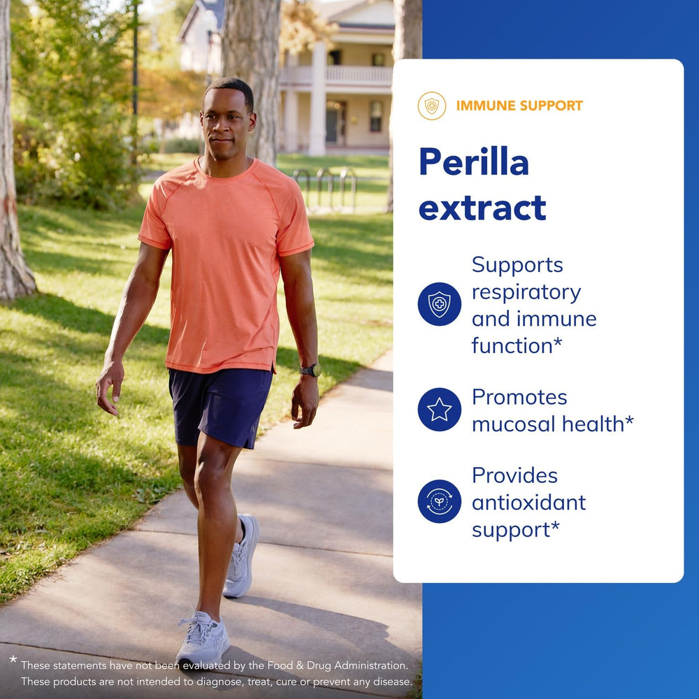 Pure Encapsulations Perilla Seed Capsules close-up emphasizes concentrated perilla compounds