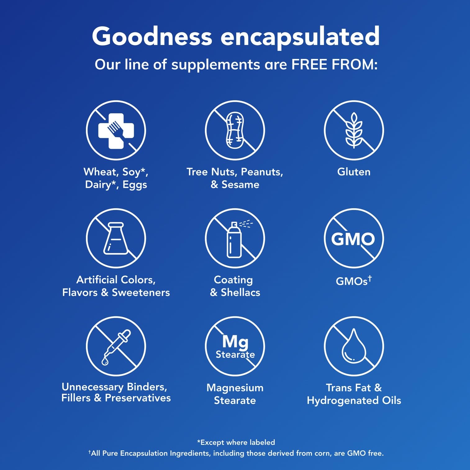 Back label highlights 800 mcg L-5-MTHF and B12 blend.