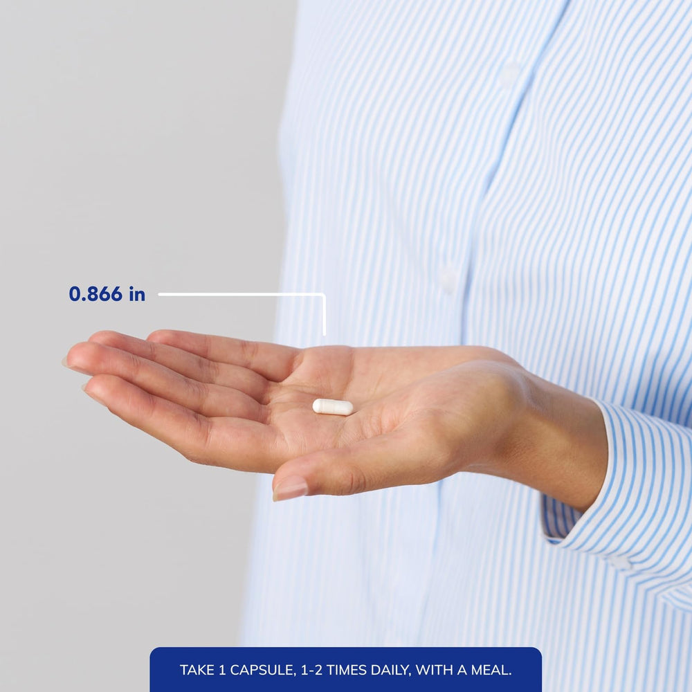 Pure Encapsulations zinc capsules arranged on a white background for daily wellness.