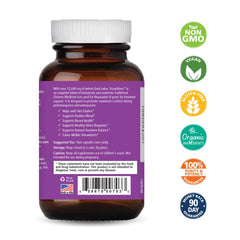 Transitions capsules closeup highlighting herbal ingredients for balance.