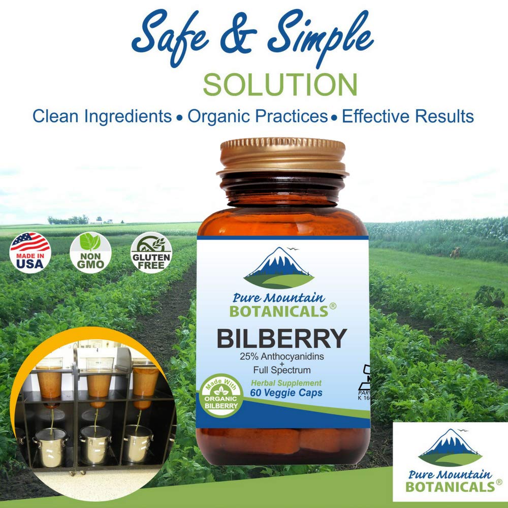 Pure Mountain Botanicals bilberry leaf extract close-up highlighting organic ingredients.