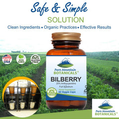 Pure Mountain Botanicals bilberry leaf extract close-up highlighting organic ingredients.