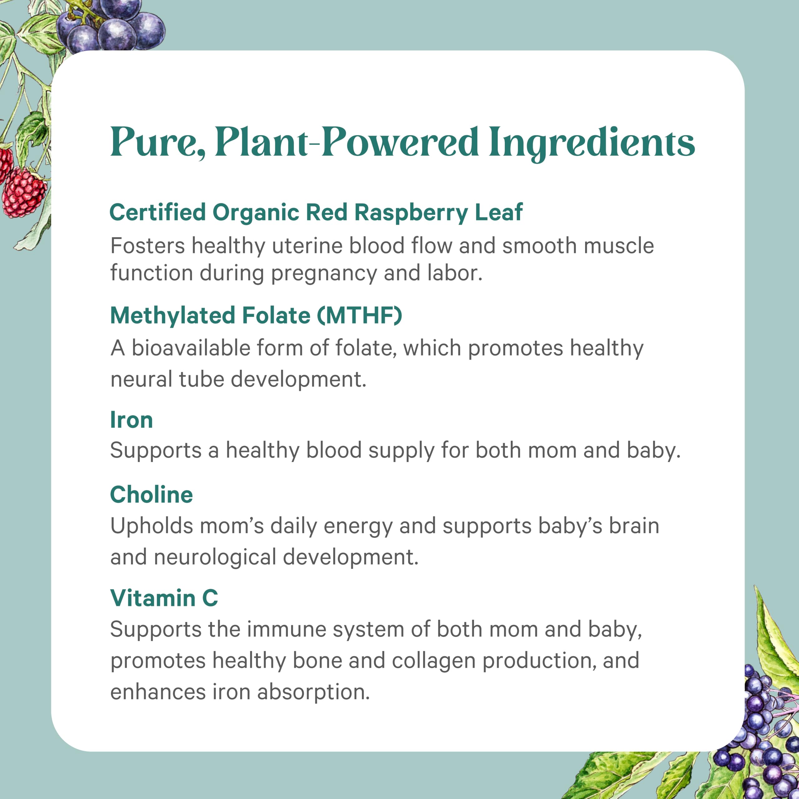 PureNatal Prenatal label shows vegan non-GMO gluten-free and dairy-free attributes