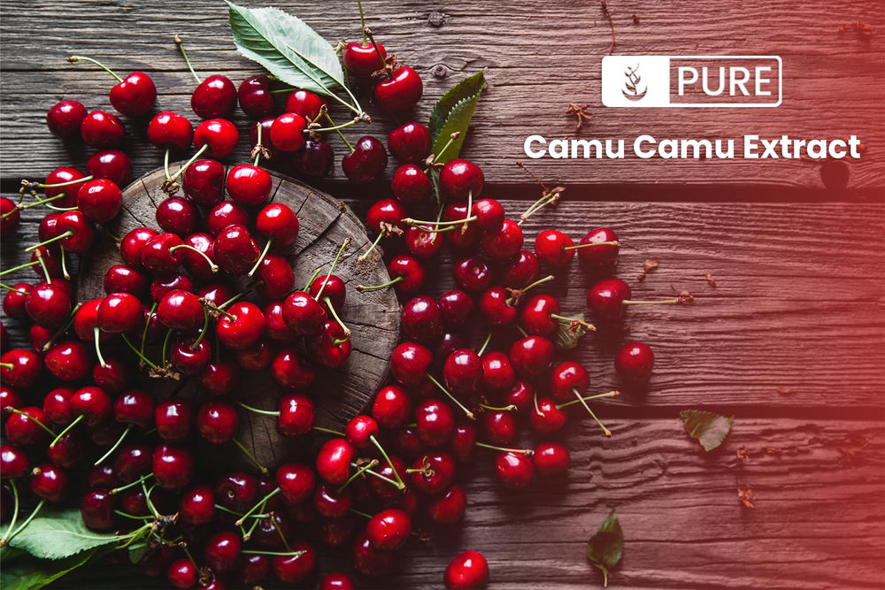 Pure Original Ingredients Camu Camu powder with scoop, easy daily vitamin C addition.
