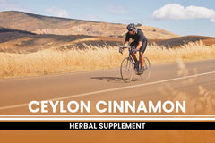 PURE ORIGINAL INGREDIENTS Ceylon Cinnamon capsules inside bottle reflect consistent capsule sizing.