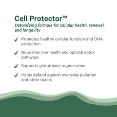 PURE SYNERGY Cell Protector organic vegetables scene conveying antioxidant support