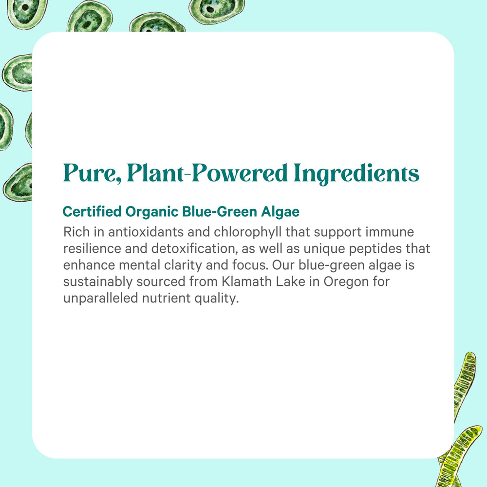PURE SYNERGY chlorophyll-rich formula emphasizing antioxidants