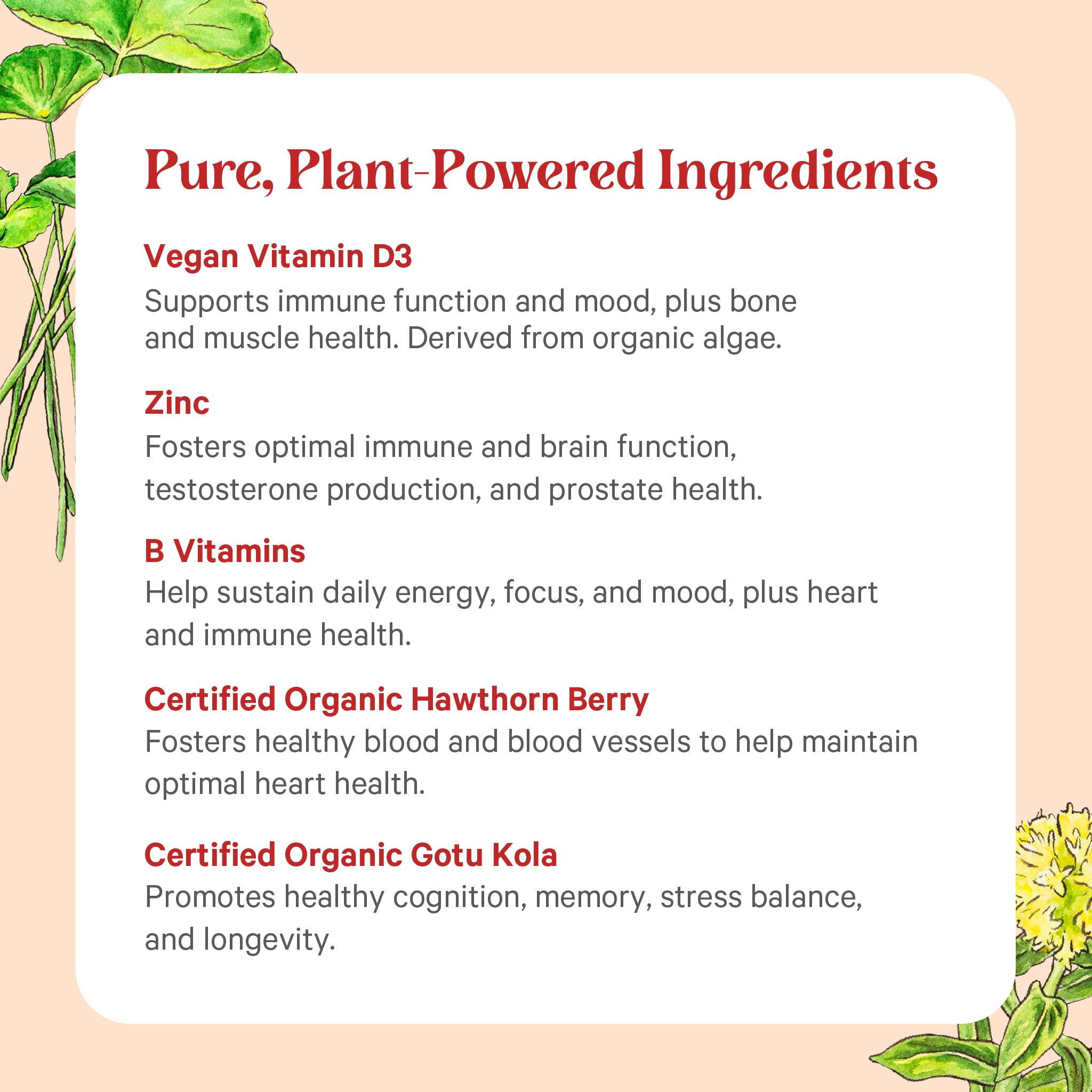 Pure Synergy Vita-Min-Herb for Men on shelf, targeted wellness.