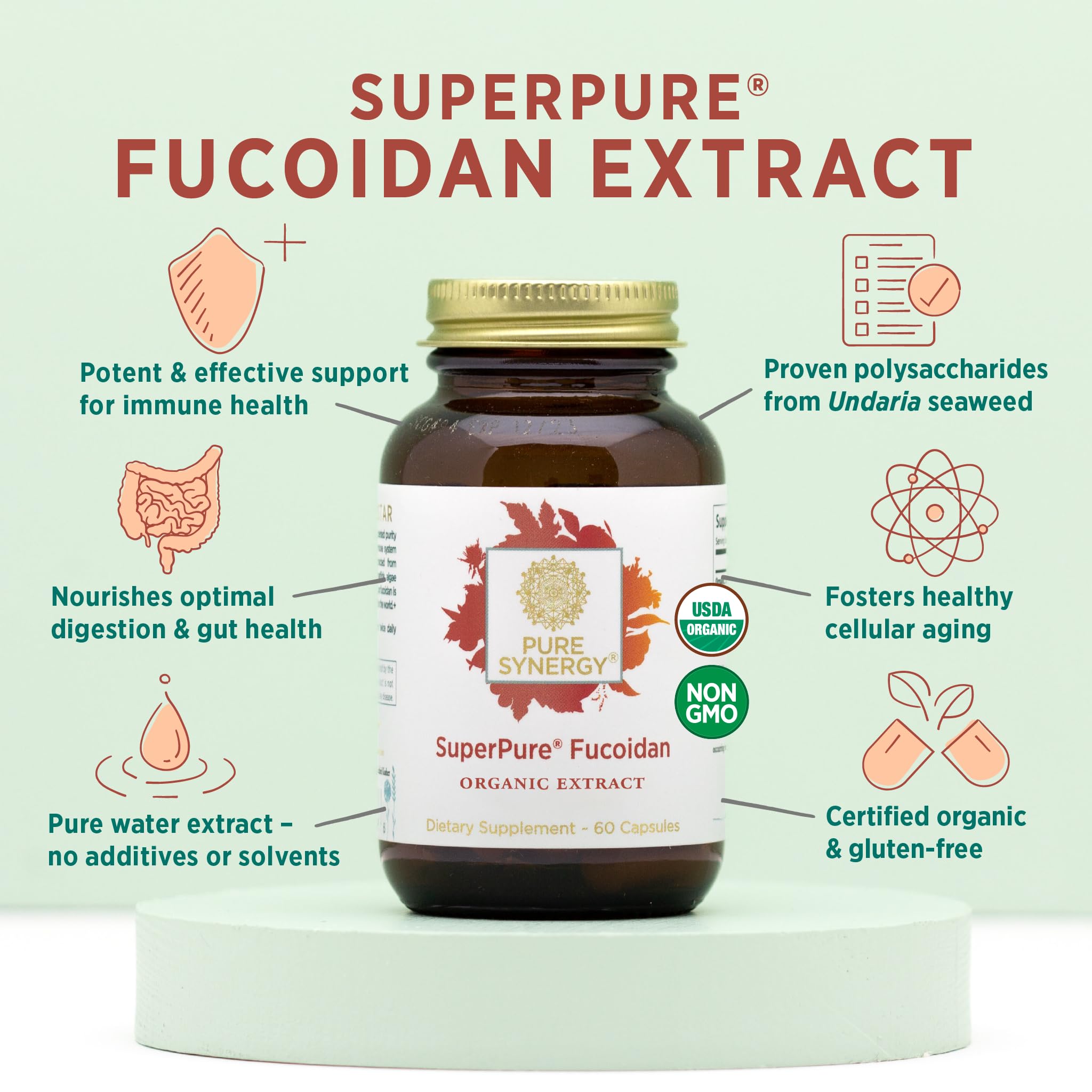 Pure Synergy fucoidan capsules ready to take with water.