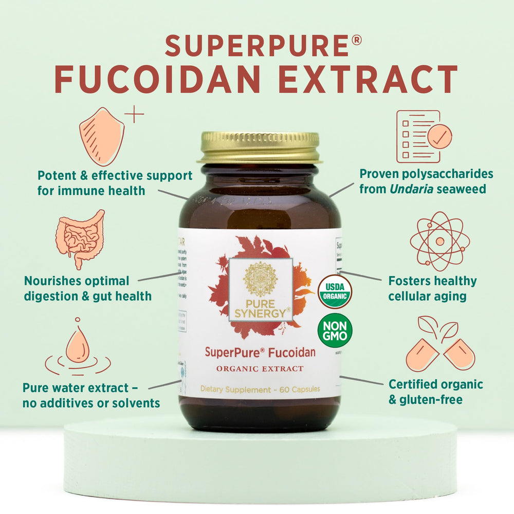 Pure Synergy fucoidan capsules ready to take with water.