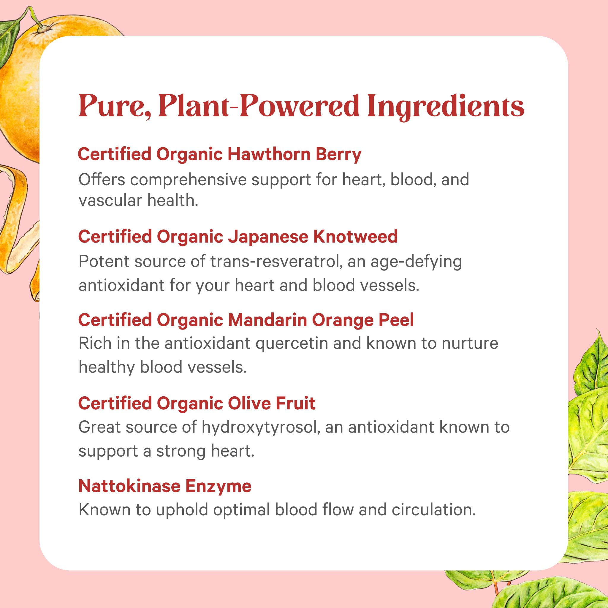Pure Synergy Heart Protector capsules on a spoon ready to take
