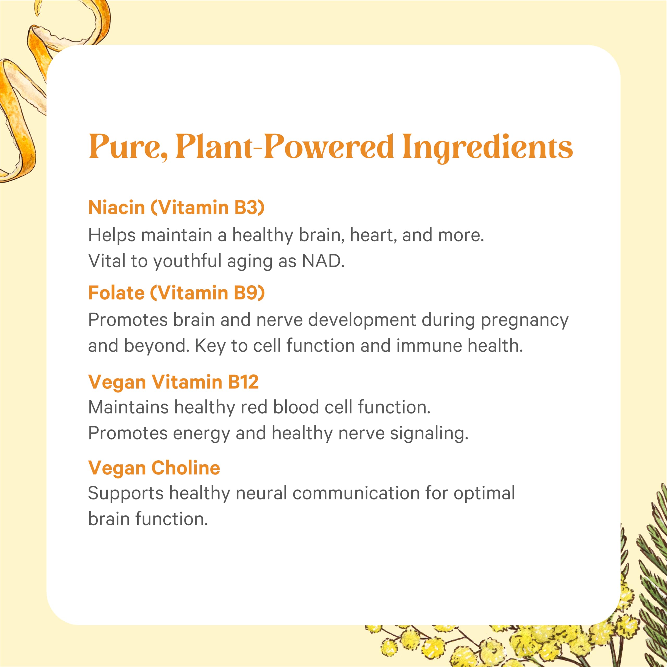 Pure Synergy tablets on wood background ready for everyday routine