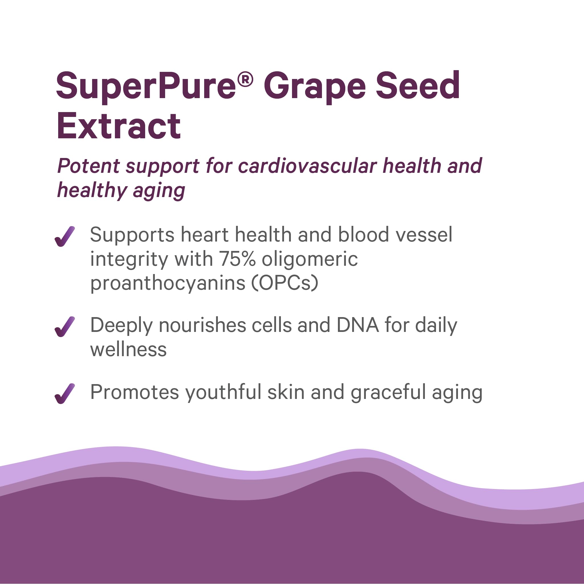 Organic grapes imagery for Pure Synergy; showcasing vineyard-sourced phytonutrients.