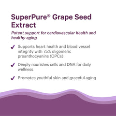 Organic grapes imagery for Pure Synergy; showcasing vineyard-sourced phytonutrients.