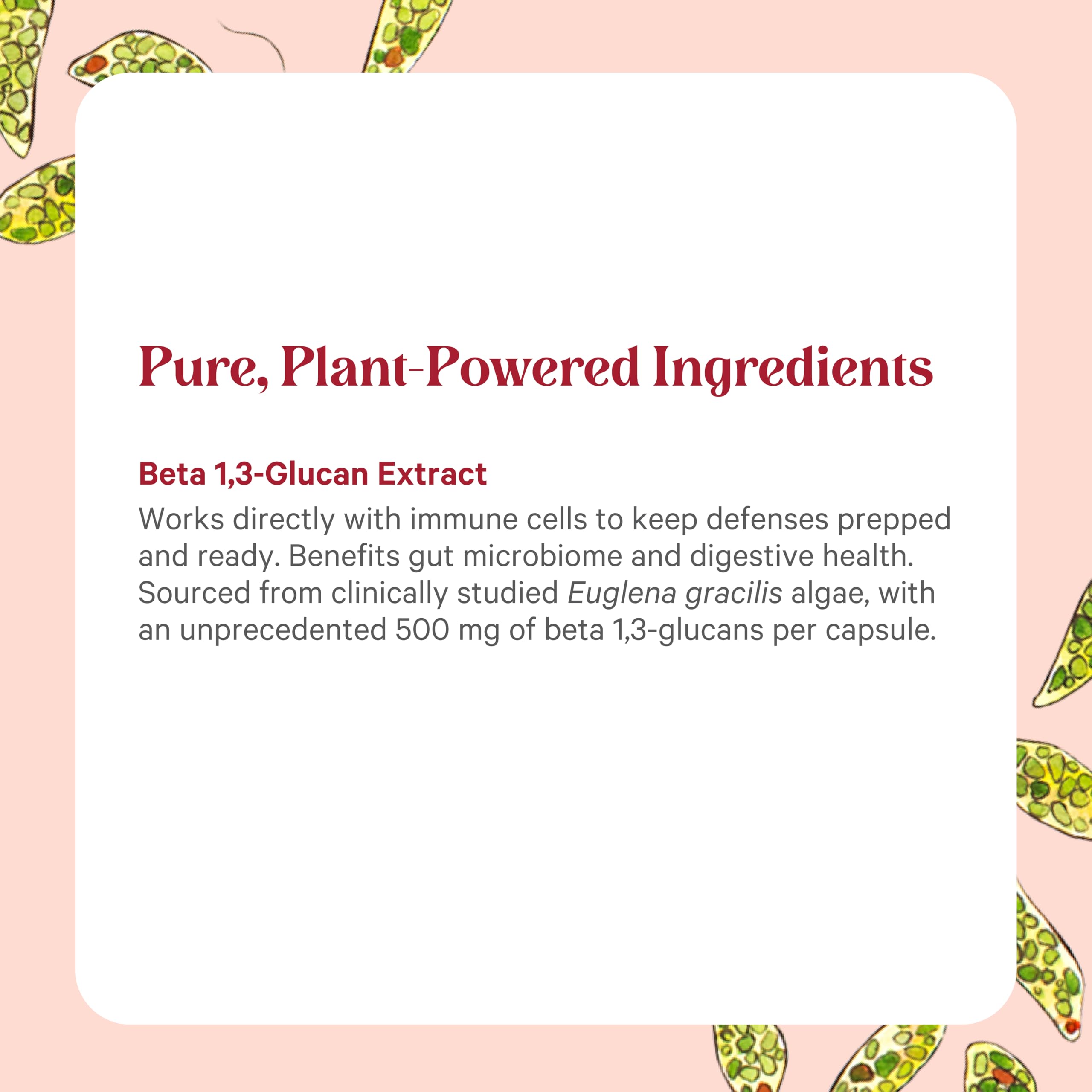Pure Synergy SuperPure US manufacturing badge signals quality and transparency.