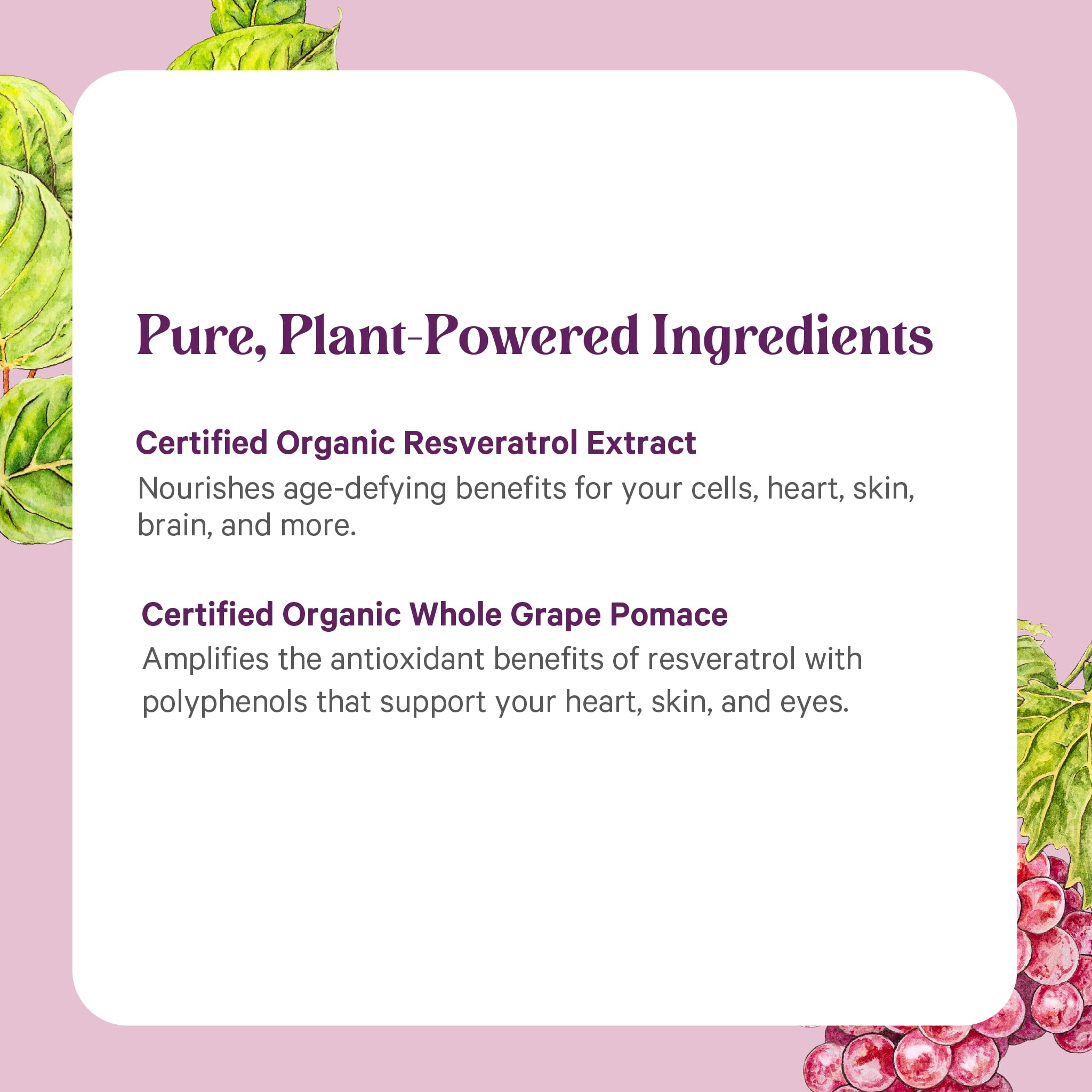 PURE SYNERGY USA-made packaging badge for quality