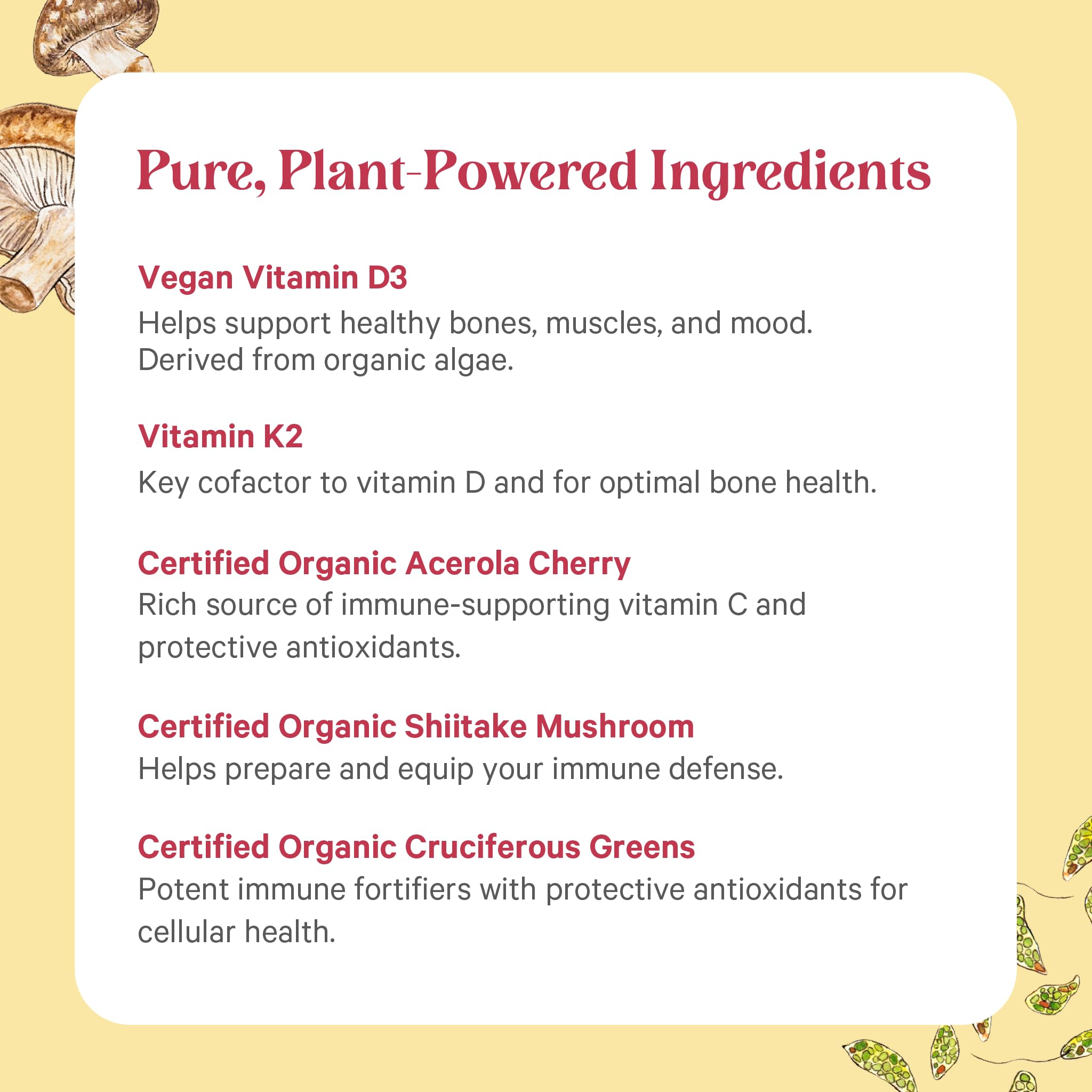 PURE SYNERGY vegan sustainable formula conveys planet-friendly wellness.