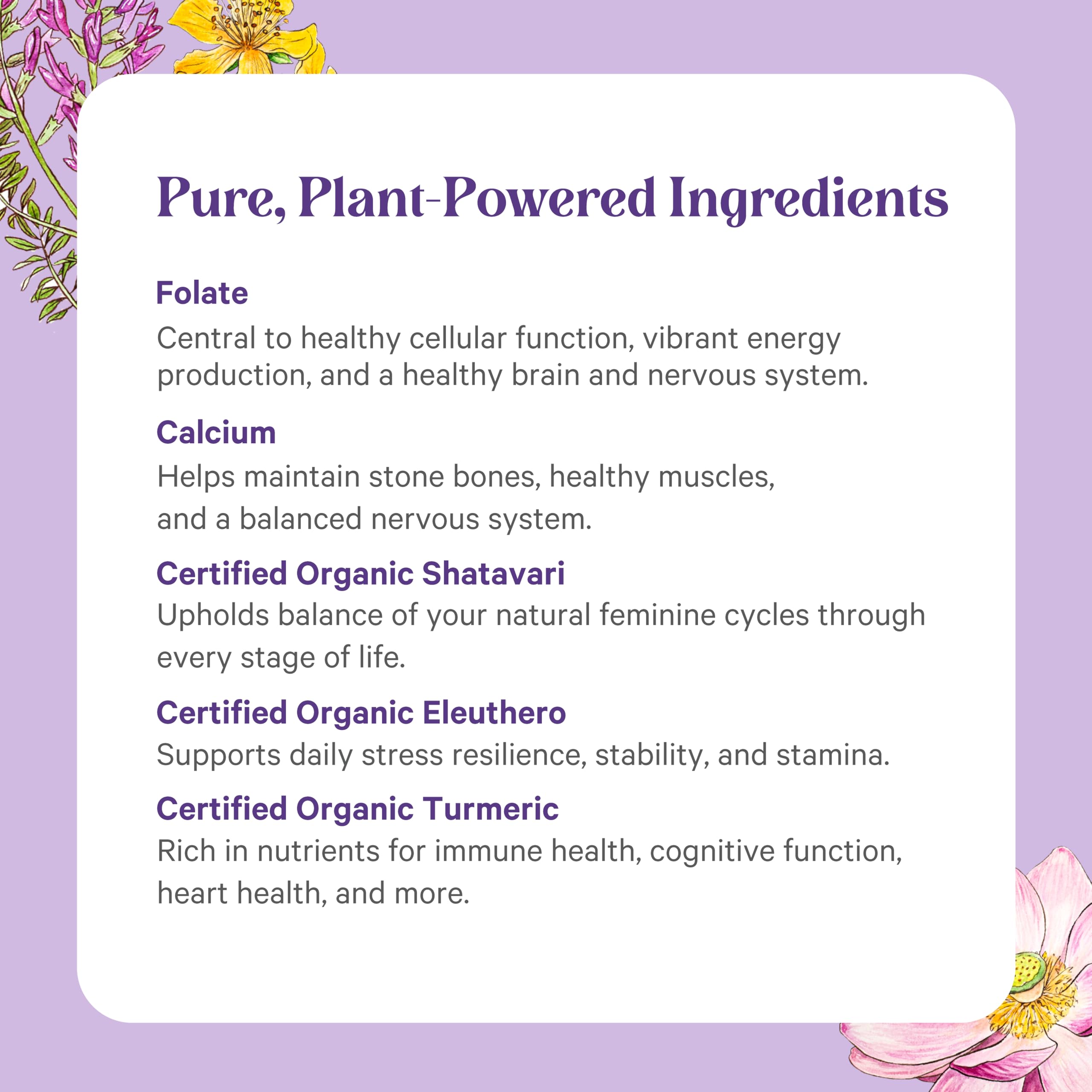 PURE SYNERGY Vita-Min-Herb vegan-non-gmo label signals clean, plant-based ingredients.