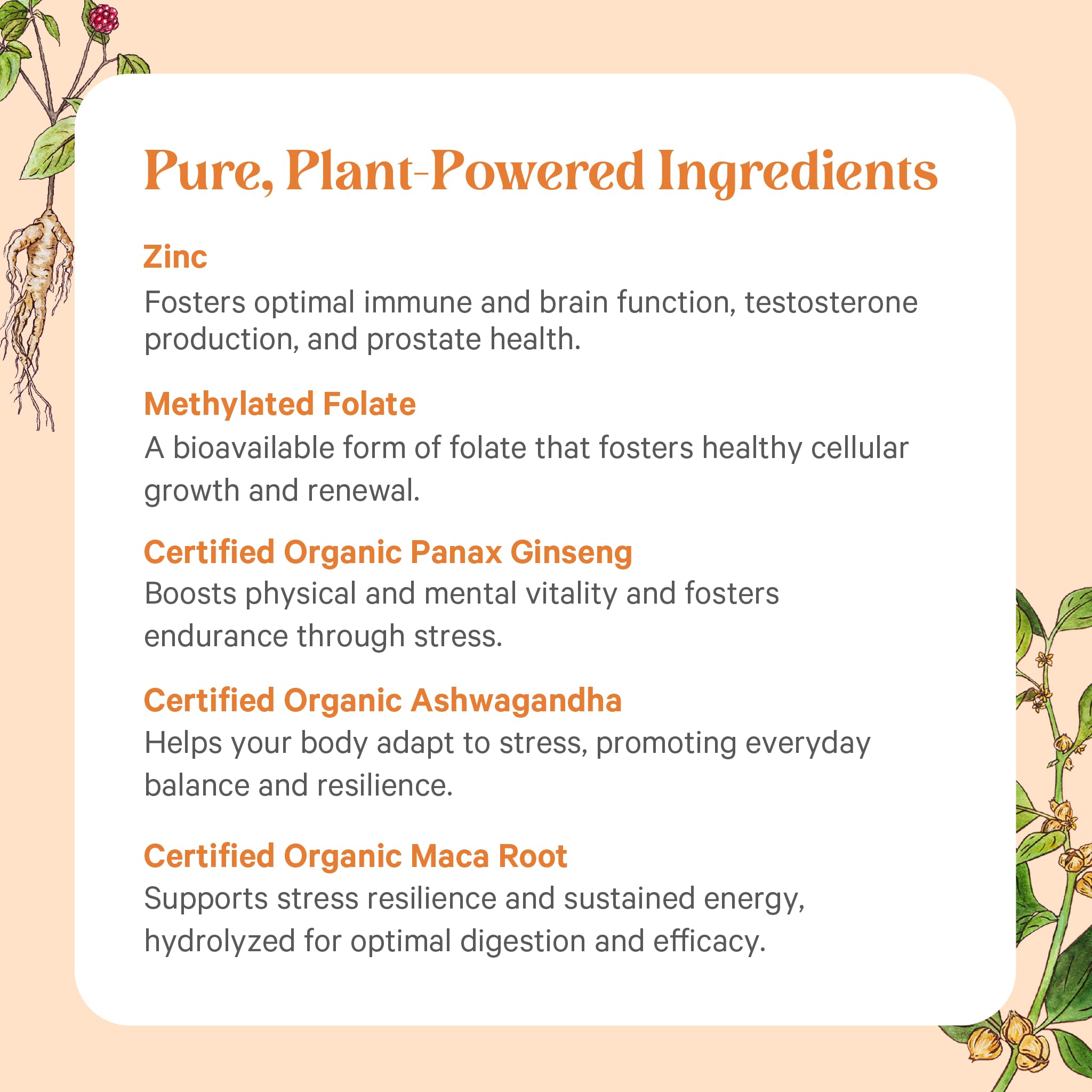 Pure Synergy Vita-Min-Vitality packaging photo highlights clean nutrition.