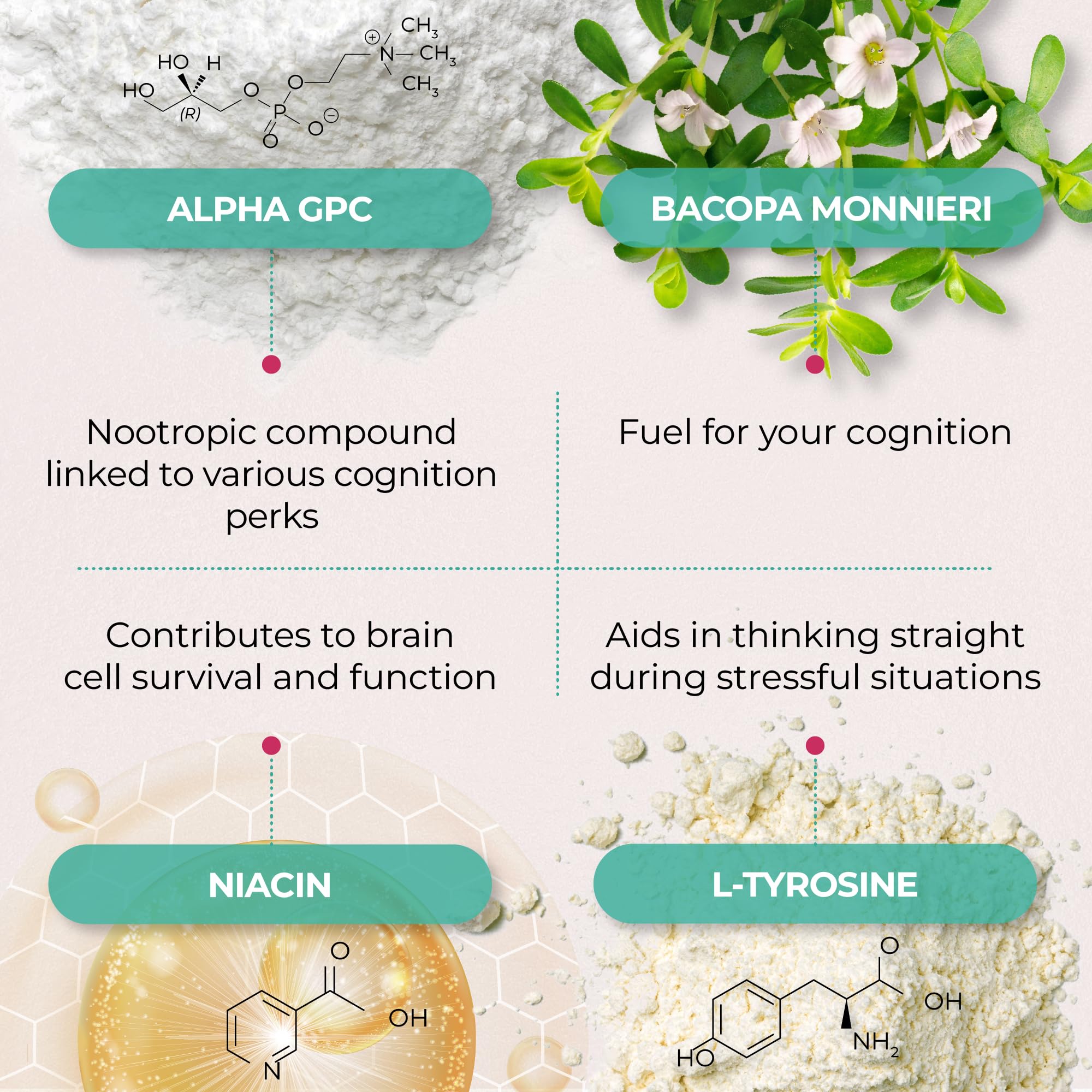 PUREHEALTH RESEARCH Ageless Brain capsules close-up for easy daily supplementation.